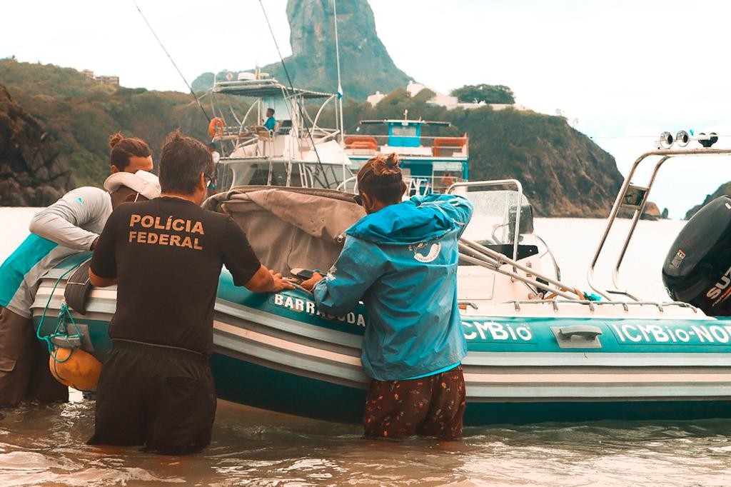 PF realiza fiscalização de proteção à fauna marítima e ao meio ambiente