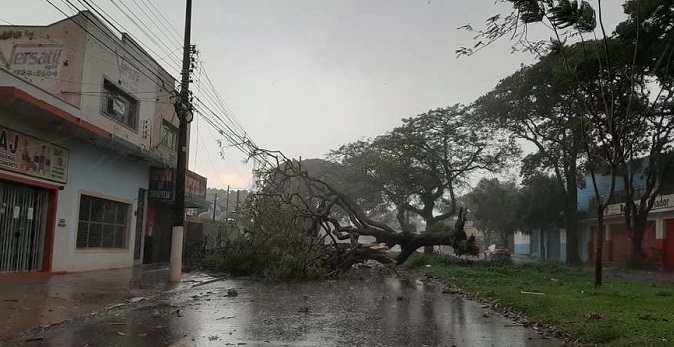 Chuva rápida deixa rastro de destruição em Dourados