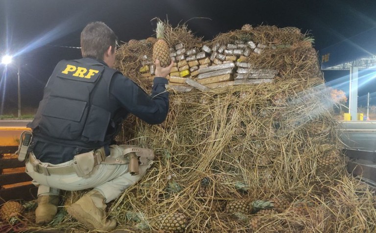 Ponta Porã: PRF apreende 844 Kg de maconha e skunk sob carga de abacaxis