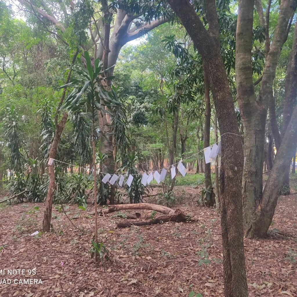 Mensagens de otimismo são deixadas no Horto Florestal de Ponta Porã