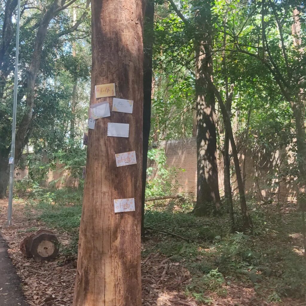 Mensagens de otimismo são deixadas no Horto Florestal de Ponta Porã