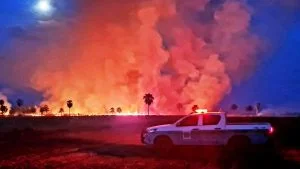 Polícia Militar Ambiental comemora 35 anos de trabalho pela conservação ambiental no MS