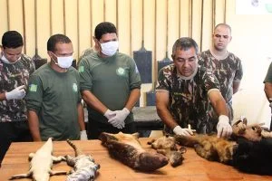 Polícia Militar Ambiental comemora 35 anos de trabalho pela conservação ambiental no MS