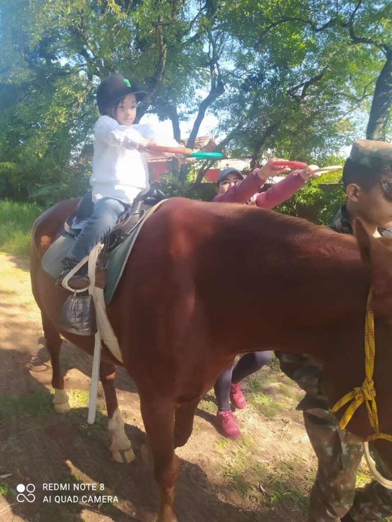 Ponta Porã: Centro de Equoterapia Princesinha dos Ervais divulga Plano de Trabalho