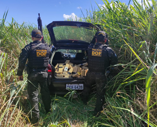 DOF apreende maconha e skunk em veículo que foi parar em meio a canavial