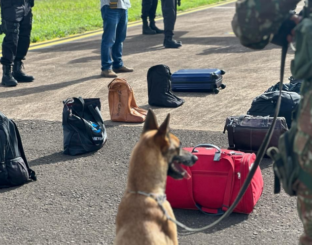 PF e Exército Brasileiro realizam ação conjunta no aeroporto de Ponta Porã