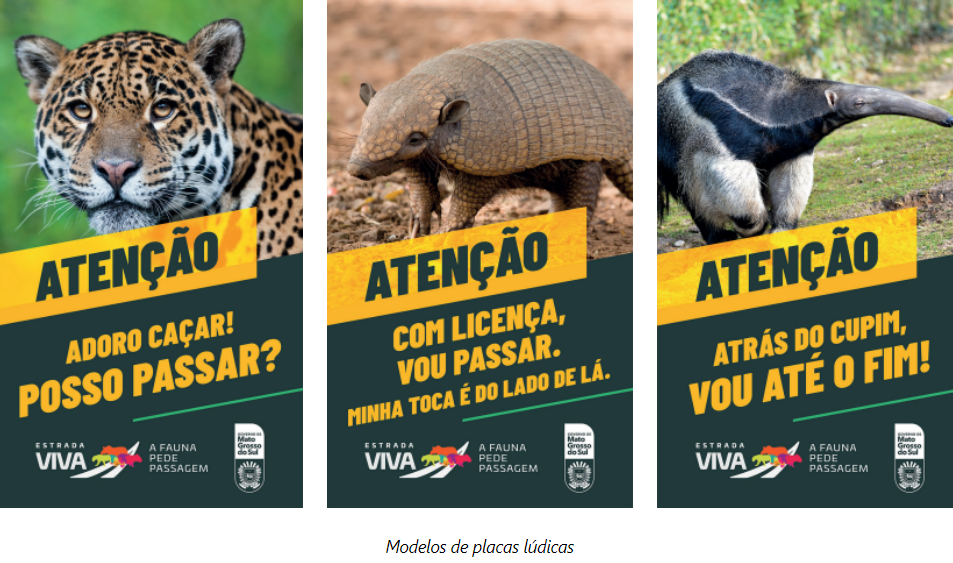 “Estrada Viva” amplia ações em rodovias para reduzir acidentes com animais silvestres