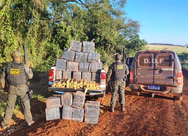 Ponta Porã: Caminhonete com mais de meia tonelada de maconha é apreendida pelo DOF