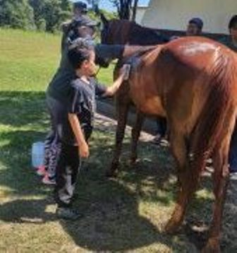 Prefeitura de Ponta Porã é parceira do Centro de Equoterapia Princesinha dos Ervais