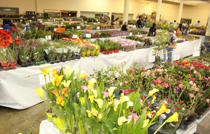 12ª Feira das Flores em Amambai acontece entre os dias 27 a 01 de outubro