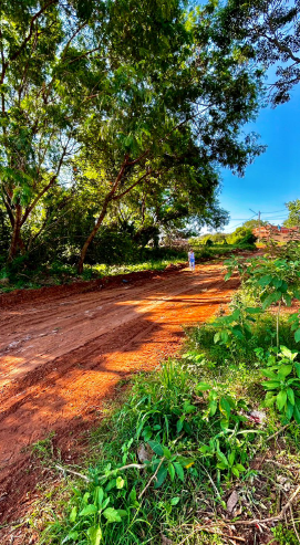 Vereadora Cida Farias solicita melhorias de Infraestrutura em Amambai