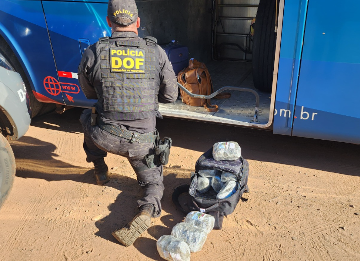 Amambai: Passageiro de ônibus que seguia com droga para Campo Grande é preso pelo DOF