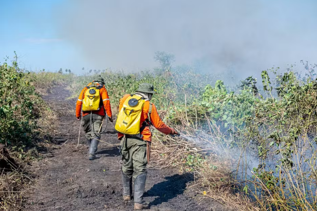 'Heróis contra o fogo': quem são os brigadistas que combatem as chamas no Pantanal