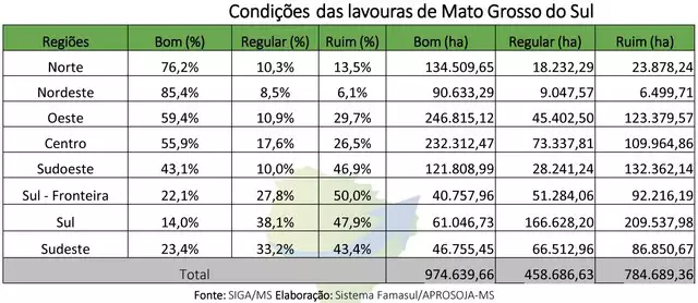 Castigado pela seca, MS inicia colheita do milho com perdas em todo o Estado