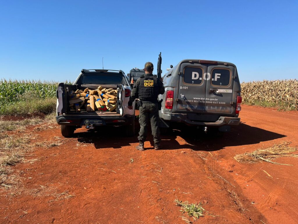 Maracaju: Veículo é recuperado pelo DOF com mais de 270 quilos de maconha em plantação de milho