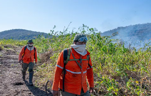 'Heróis contra o fogo': quem são os brigadistas que combatem as chamas no Pantanal