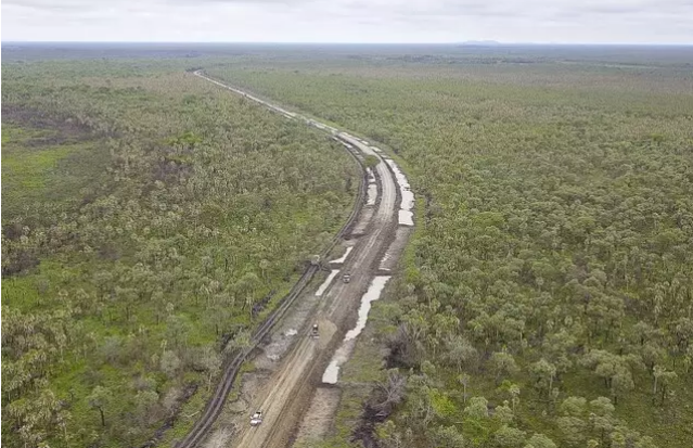 Depois de incêndios, cartão-postal verde do Pantanal de MS fica cinza