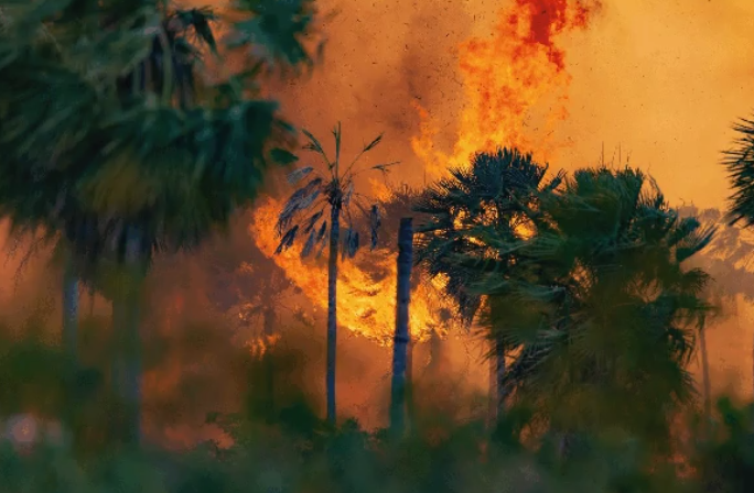 Pantanal: frio e chuva amenizam fogo, mas chamas ainda não foram extintas, diz Corpo de Bombeiros