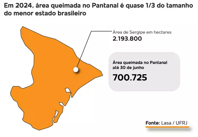 No Pantanal, área incendiada em 6 meses é quase tudo o que queimou em 2023