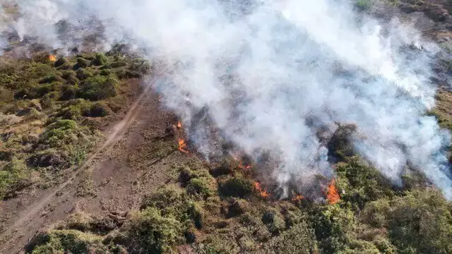 Combate a incêndio no Pantanal terá reforço de bombeiros de sete estados