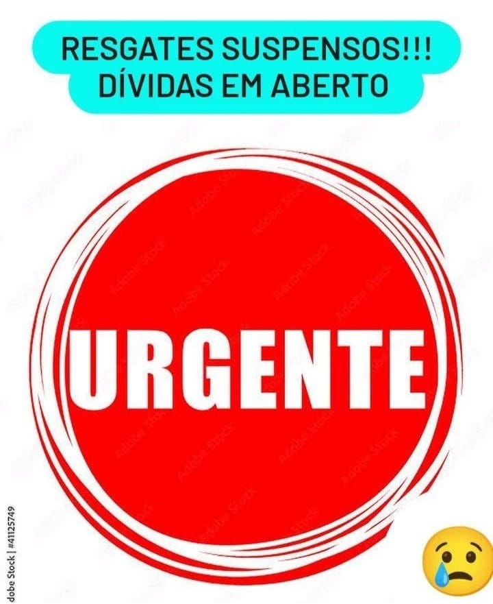 Amambai: ONG Adote Um Campeão de 4 Patas pede ajuda para não fechar as portas