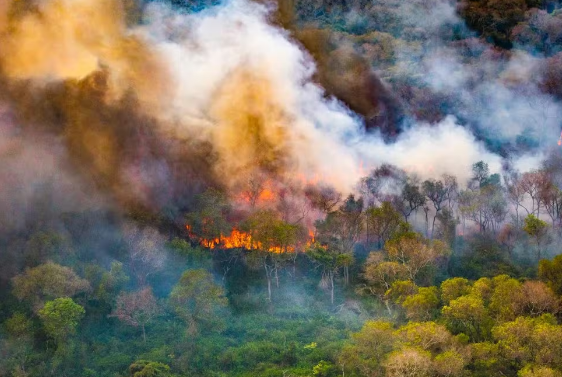 Pantanal bate marca de 800 mil hectares queimados neste ano