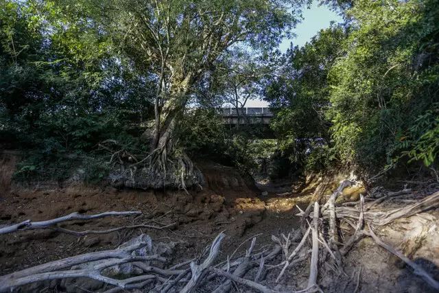 Rio da Prata sem uma gota de água, cenário é desolador