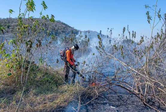 Pantanal bate marca de 800 mil hectares queimados neste ano