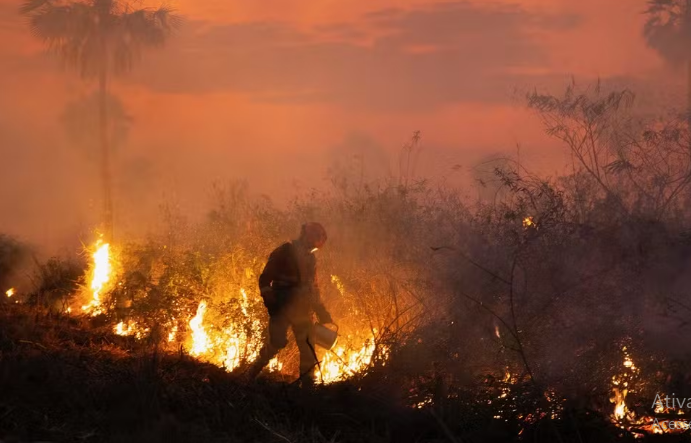 Pantanal: frio e chuva amenizam fogo, mas chamas ainda não foram extintas, diz Corpo de Bombeiros