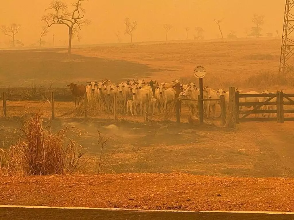 Queimadas mudam a cor do céu de Miranda e BR-262 é interditada