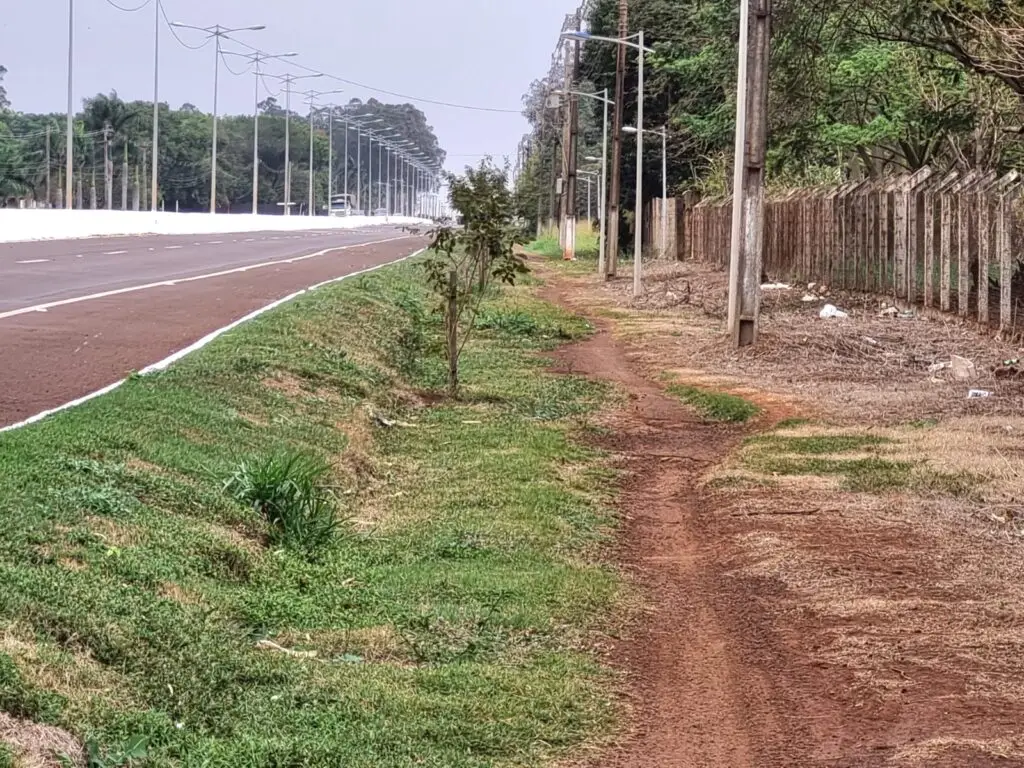 Lia Nogueira solicita manutenção urgente de ciclovia na Avenida Guaicurus, em Dourados