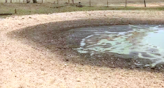 Pantanal em chamas: prejuízo causado pelo fogo no agronegócio de MS chega a R$ 1,2 bilhão