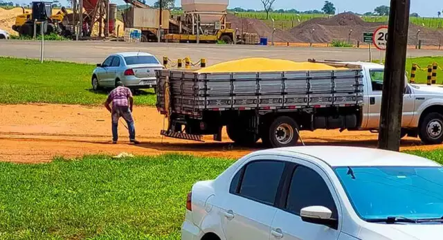 Jacaré é capturado em pátio de cooperativa e amarrado na carroceira de veículo