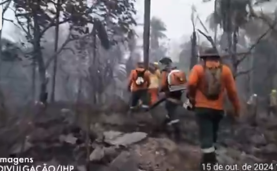 ‘Impossível o ser humano combater’, diz chefe da brigada de incêndio em área isolada do Pantanal