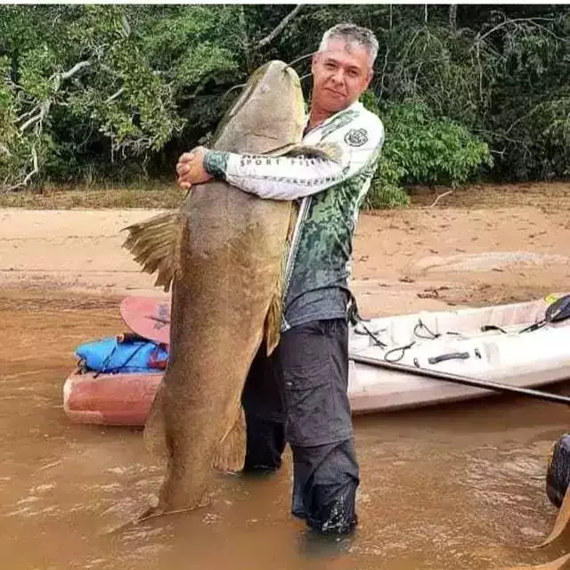 Pescadores esportivos são contra alterações enviadas para análise do Governo