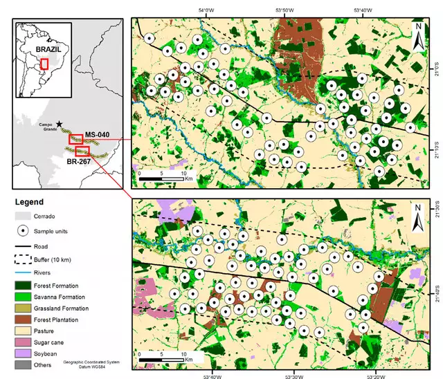 Rodovias no Cerrado de MS espantam mamíferos de seus habitats