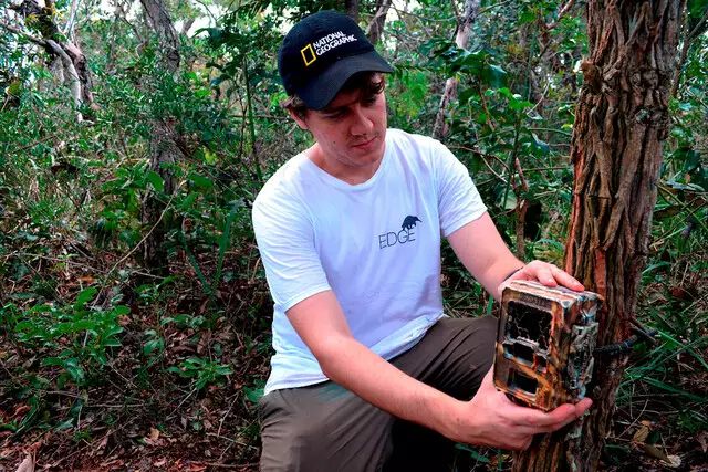 Rodovias no Cerrado de MS espantam mamíferos de seus habitats