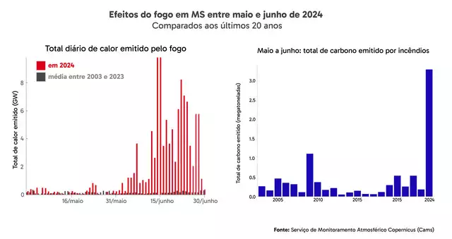 Em MS, volume de carbono emitido por incêndios florestais é o maior em 20 anos