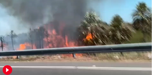 Otro incendio forestal de gran magnitud arrasa zona de Luque-San Bernardino