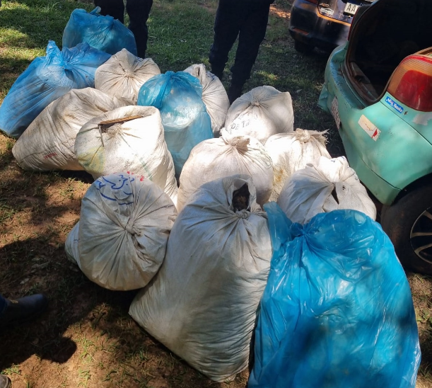 Tras persecución, abandonan vehículo repleto de bolsas de marihuana en Tava’i