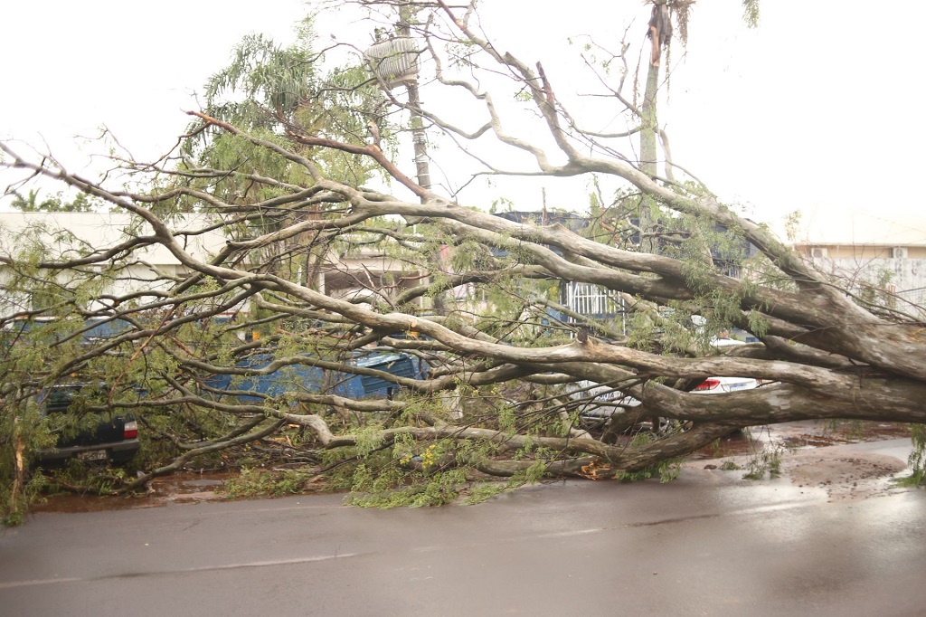 Ponta Porã: Prefeitura monta força-tarefa para atender comunidade depois do temporal