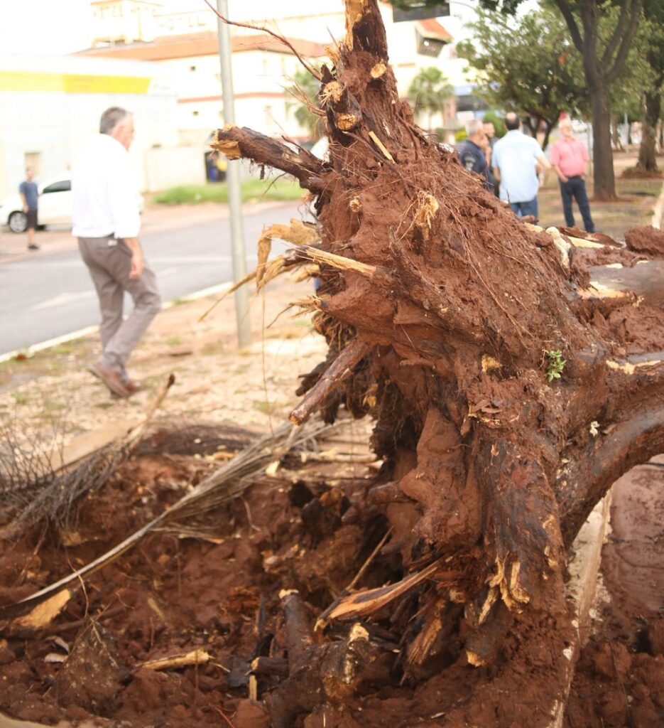 Ponta Porã: Prefeitura monta força-tarefa para atender comunidade depois do temporal