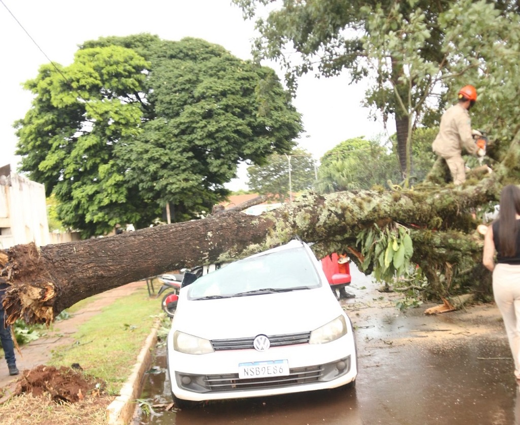 Ponta Porã: Prefeitura monta força-tarefa para atender comunidade depois do temporal