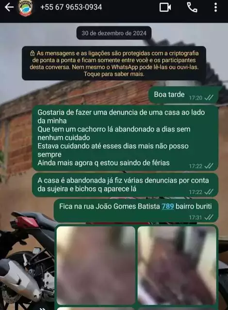 Após denúncia, cachorro segue abandonado em imóvel com lixo