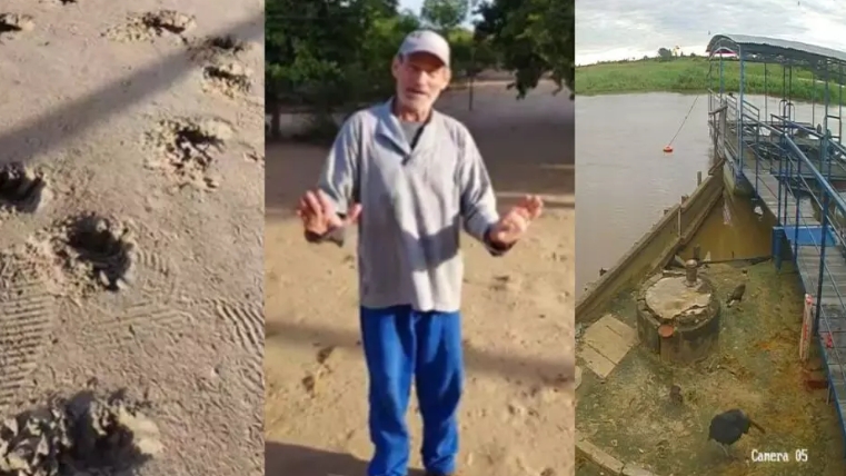 Morte por ataque de onça no Pantanal reacende mistério de mulher desaparecida em trilha de MS