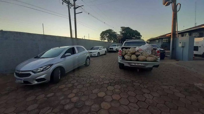 Choque prende 4 traficantes e encontra 307 quilos de drogas em assentamento