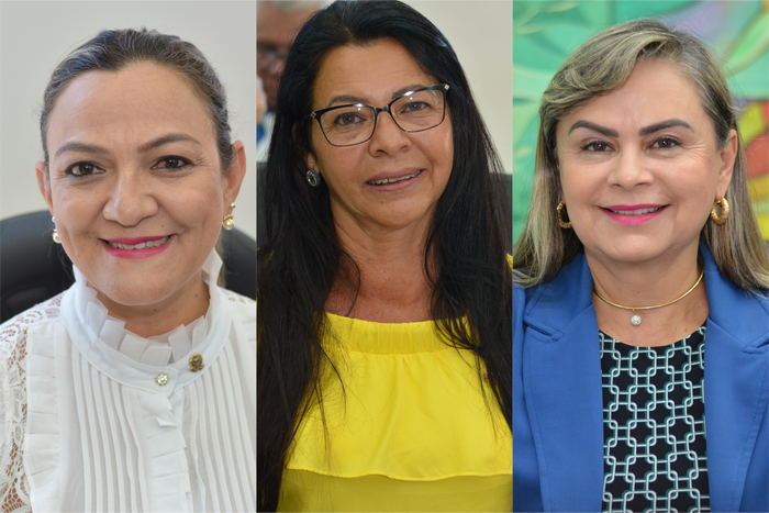 A presença ativa das vereadoras, Anny Espínola, Beth Almeida e Neli Abdulahad, na Casa de Leis foi reverenciada pelos parlamentares durante a sessão, realizada no Dia Internacional da Mulher.Foto: Assessoria CMPP