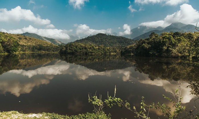 Projeto Guapiaçu lança trilha virtual na Semana do Meio Ambiente