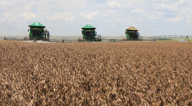 MS tem 12 cidades entre os maiores produtores do agronegócio brasileiro